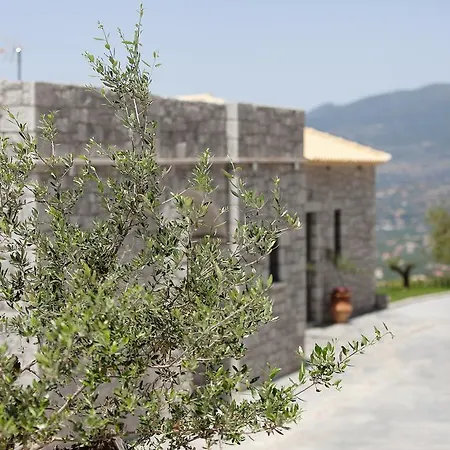 Lejlighed Petra Thea *