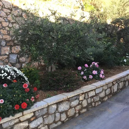 Apartment Petra Thea