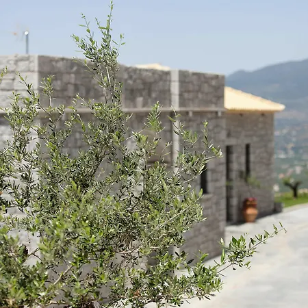 Apartment Petra Thea
